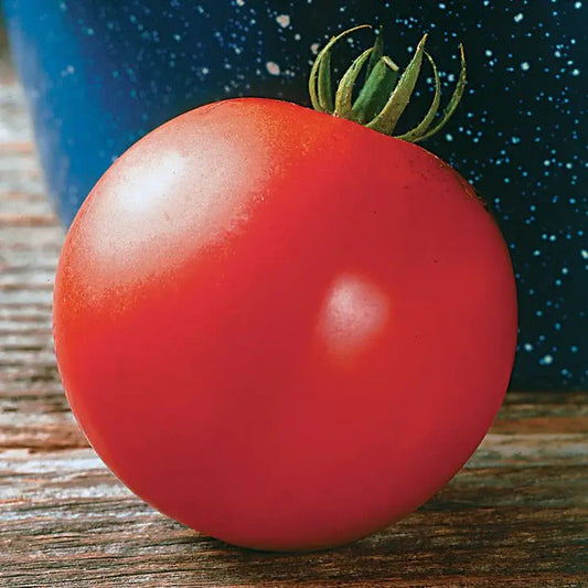 Park Seed Mountain Fresh Plus Hybrid Tomato Seeds
