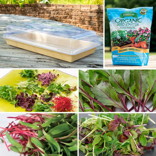 Park Seed Park's Microgreens Collections
