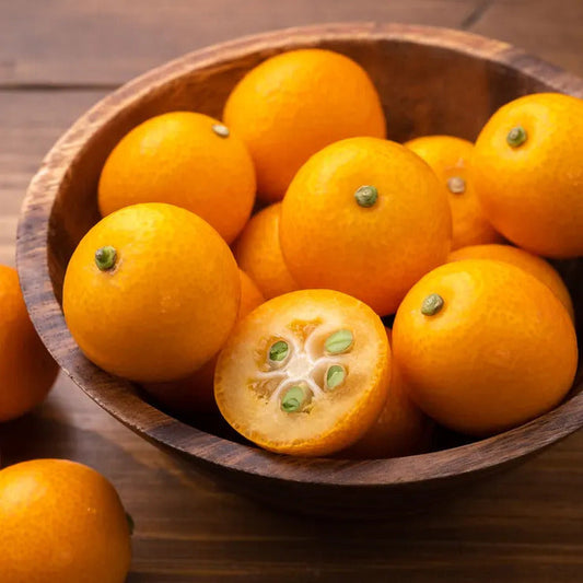 Park Seed Citrus 'Fukushu' Kumquat Tree