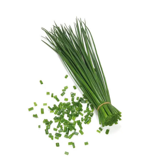 Park Seed ProEasy Chives Seeds