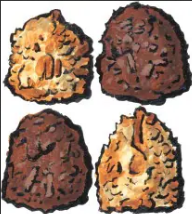 Zingerman's Chocolate and Vanilla Coconut Macaroon Cookies