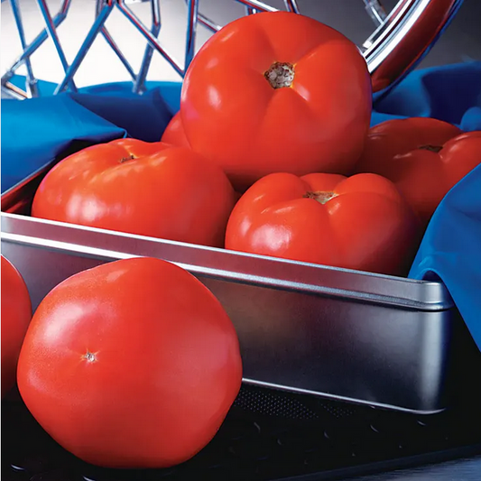 Park Seed Rocky Top Tomato Seeds