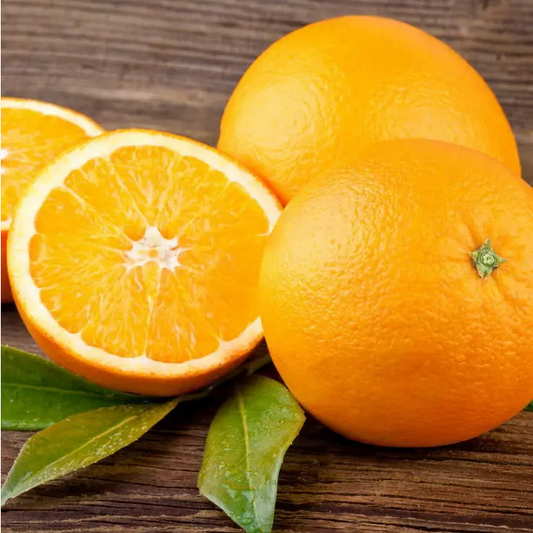 Park Seed Citrus 'Trovita' Orange Tree