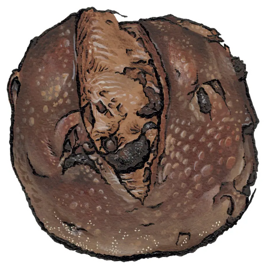 Zingerman's Cherry Chocolate Bread