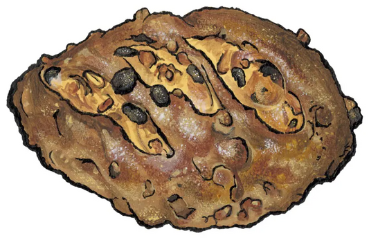 Zingerman's Pecan Raisin Bread