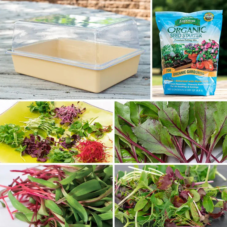 Park Seed Park's Microgreens Collections